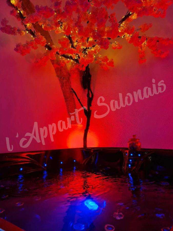 Appartement 70m2 avec jacuzzi privatif Salon-de-Provence Extérieur photo